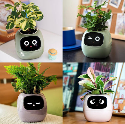 Smart Bloomie Bot – AI Interactive Pet Planter with Emotions & Gestures | Cute Robotic Flower Pot for Home, Office, or School Decor