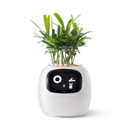 Smart Bloomie Bot – AI Interactive Pet Planter with Emotions & Gestures | Cute Robotic Flower Pot for Home, Office, or School Decor
