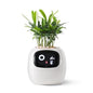 Smart Bloomie Bot – AI Interactive Pet Planter with Emotions & Gestures | Cute Robotic Flower Pot for Home, Office, or School Decor
