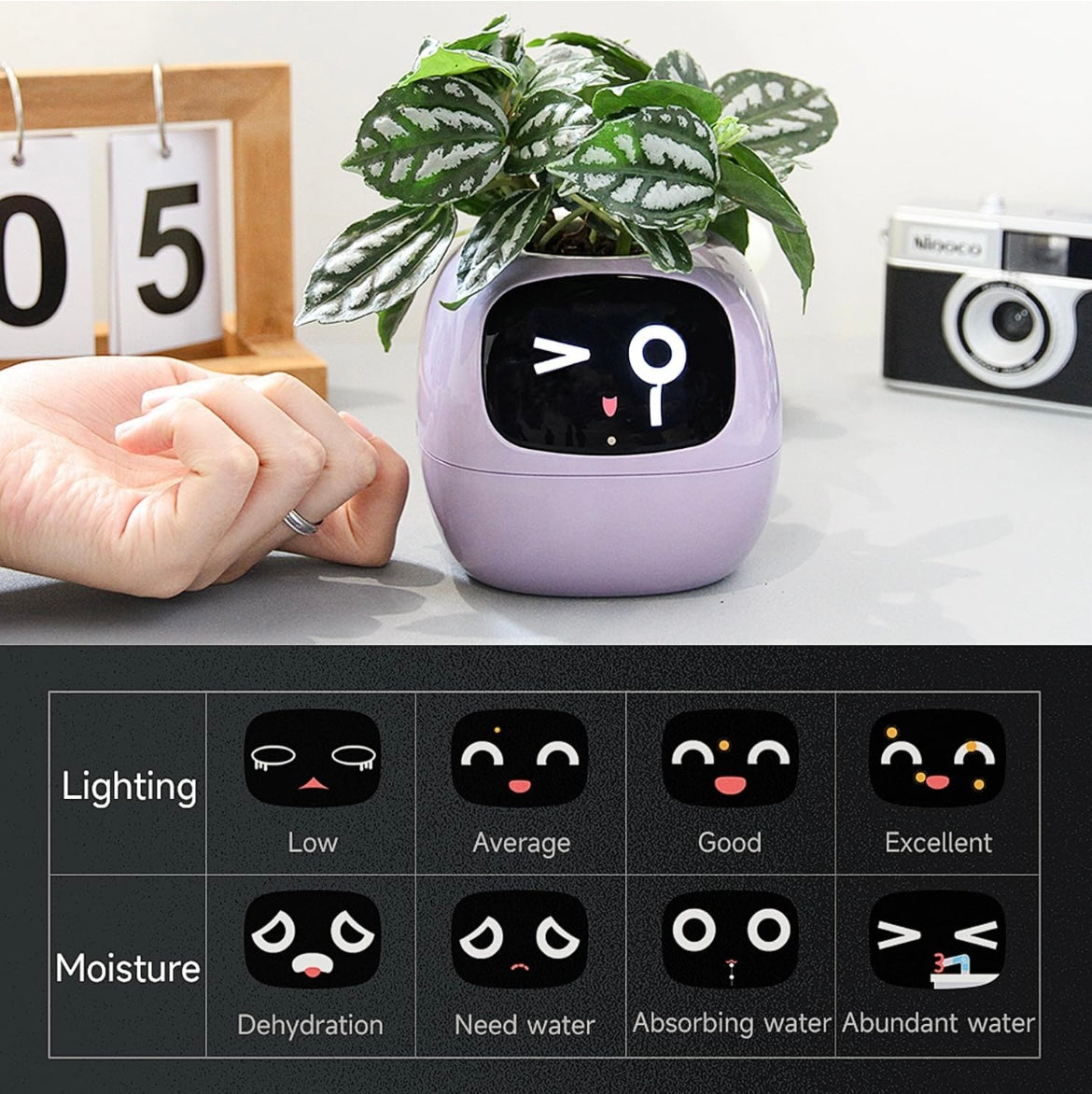 Smart Bloomie Bot – AI Interactive Pet Planter with Emotions & Gestures | Cute Robotic Flower Pot for Home, Office, or School Decor