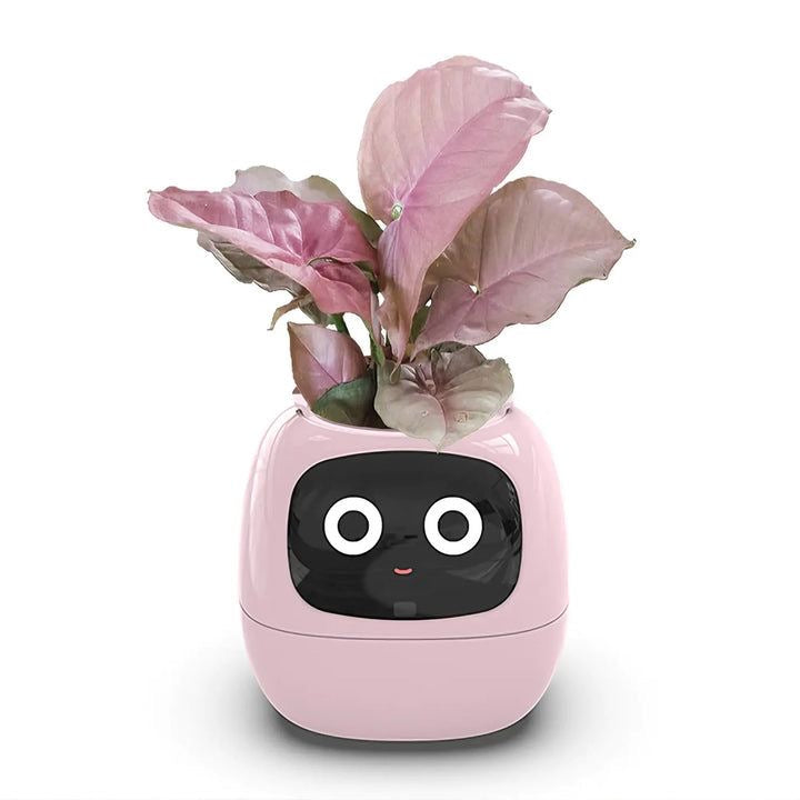 Smart Bloomie Bot – AI Interactive Pet Planter with Emotions & Gestures | Cute Robotic Flower Pot for Home, Office, or School Decor