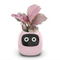 Smart Bloomie Bot – AI Interactive Pet Planter with Emotions & Gestures | Cute Robotic Flower Pot for Home, Office, or School Decor