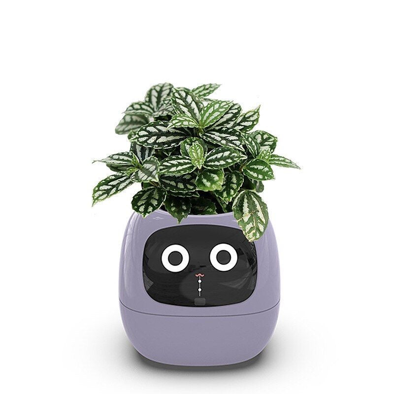 Smart Bloomie Bot – AI Interactive Pet Planter with Emotions & Gestures | Cute Robotic Flower Pot for Home, Office, or School Decor