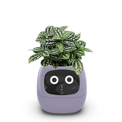 Smart Bloomie Bot – AI Interactive Pet Planter with Emotions & Gestures | Cute Robotic Flower Pot for Home, Office, or School Decor