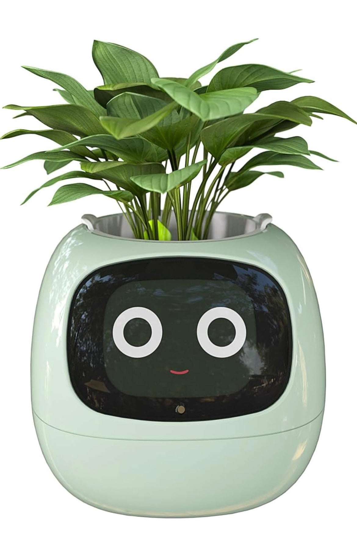 Smart Bloomie Bot – AI Interactive Pet Planter with Emotions & Gestures | Cute Robotic Flower Pot for Home, Office, or School Decor