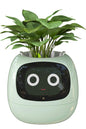 Smart Bloomie Bot – AI Interactive Pet Planter with Emotions & Gestures | Cute Robotic Flower Pot for Home, Office, or School Decor